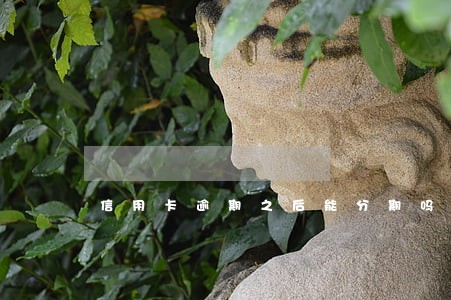 信用卡逾期之后能分期吗 信用卡逾期之后能分期吗