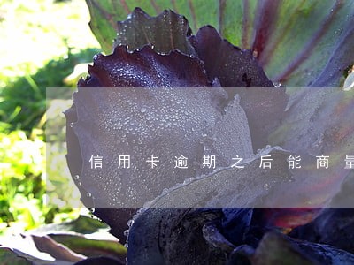 信用卡逾期之后能商量分期还吗