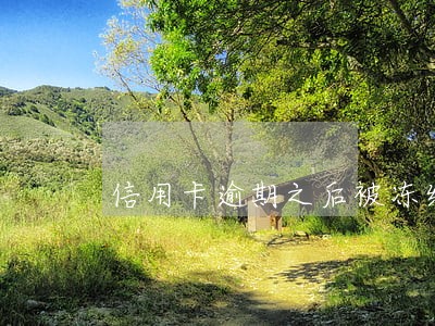 信用卡逾期之后被冻结吗