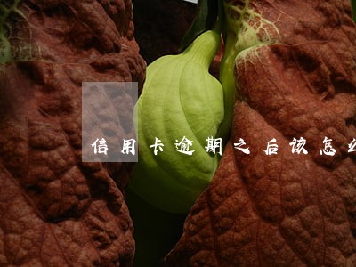 信用卡逾期之后该怎么办 信用卡逾期之后该怎么办