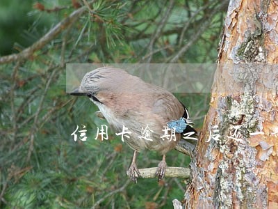 信用卡逾期之后还一部分
