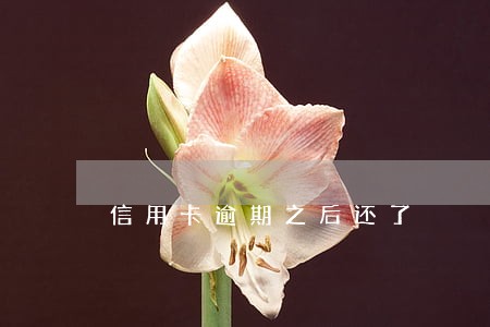 信用卡逾期之后还了 信用卡逾期之后还了