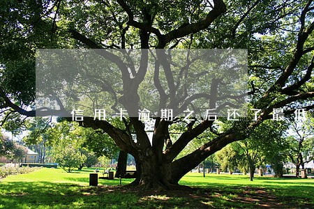 信用卡逾期之后还了最低还款 信用卡逾期之后还了最低还款