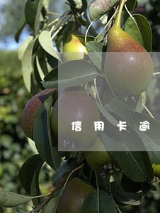 信用卡逾期之后还信用卡 信用卡逾期之后还信用卡