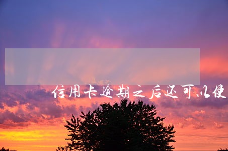 信用卡逾期之后还可以使用吗 信用卡逾期之后还可以使用吗