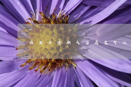 信用卡逾期之后还完可以注销吗 信用卡逾期之后还完可以注销吗