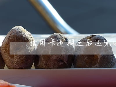 信用卡逾期之后还完还能再开通吗