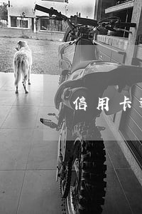 信用卡逾期之后还最低可以吗 信用卡逾期之后还最低可以吗