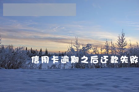 信用卡逾期之后还款失败 信用卡逾期之后还款失败