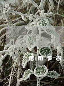 信用卡逾期之后还能不能用 信用卡逾期之后还能不能用