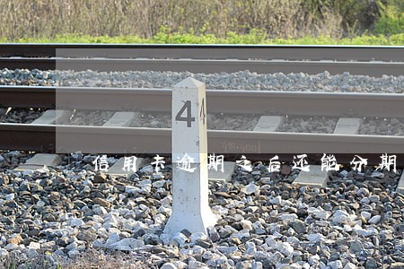 信用卡逾期之后还能分期吗 信用卡逾期之后还能分期吗