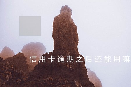 信用卡逾期之后还能用嘛