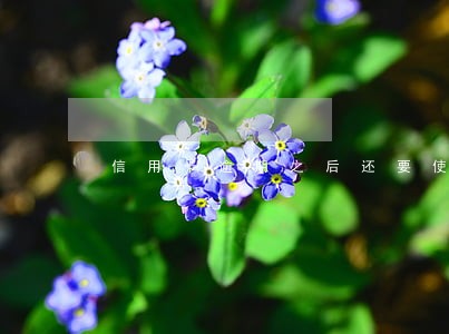 信用卡逾期之后还要使用几年