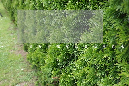 信用卡逾期之后还进去还能在用吗 信用卡逾期之后还进去还能在用吗