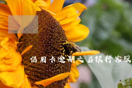 信用卡逾期之后银行客服来电 信用卡逾期之后银行客服来电
