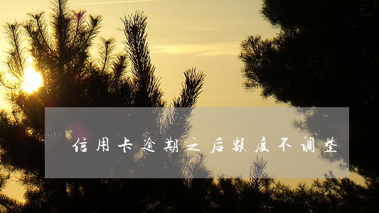 信用卡逾期之后额度不调整 信用卡逾期之后额度不调整
