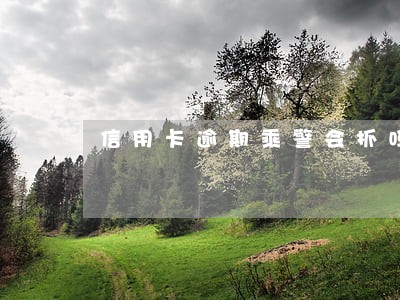 信用卡逾期乘警会抓吗 信用卡逾期乘警会抓吗