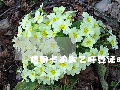 信用卡逾期乙肝算证明吗
