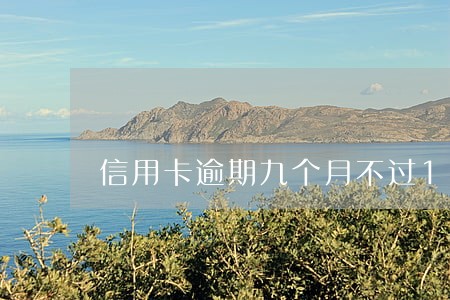 信用卡逾期九个月不过1000元