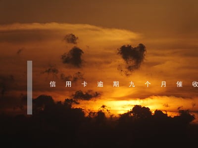 信用卡逾期九个月催收 信用卡逾期九个月催收