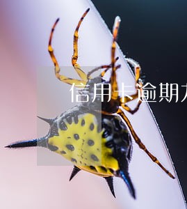 信用卡逾期九个月后果 信用卡逾期九个月后果