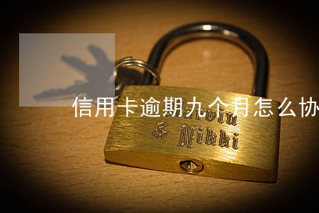 信用卡逾期九个月怎么协商