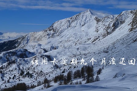 信用卡逾期九个月没还回怎么样 信用卡逾期九个月没还回怎么样