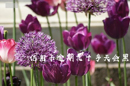 信用卡逾期九十多天会黑名单吗 信用卡逾期九十多天会黑名单吗