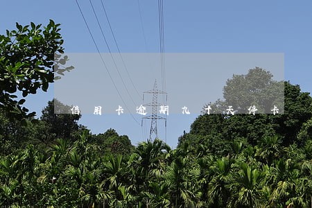 信用卡逾期九十天停卡 信用卡逾期九十天停卡
