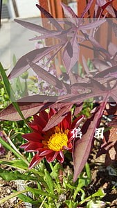 信用卡逾期九十天还了一部份 信用卡逾期九十天还了一部份