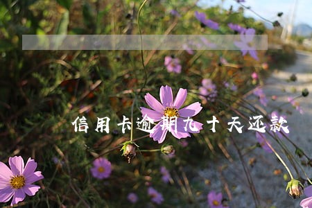 信用卡逾期九十天还款 信用卡逾期九十天还款