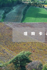 信用卡逾期九十天还能办理吗 信用卡逾期九十天还能办理吗