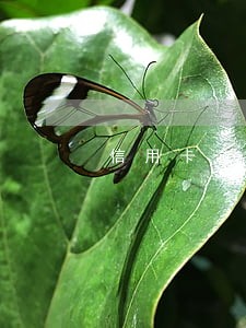信用卡逾期九十天还能贷款吗 信用卡逾期九十天还能贷款吗