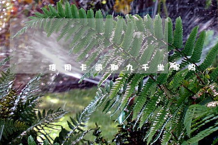 信用卡逾期九千坐牢吗 信用卡逾期九千坐牢吗