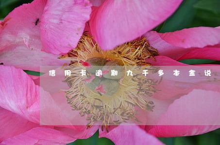 信用卡逾期九千多本金说要上门 信用卡逾期九千多本金说要上门