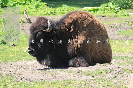 信用卡逾期九天会怎么样 信用卡逾期九天会怎么样