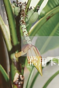 信用卡逾期九天利息是多少 信用卡逾期九天利息是多少