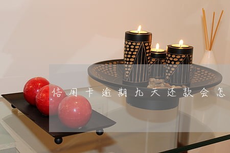 信用卡逾期九天还款会怎样 信用卡逾期九天还款会怎样