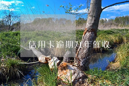 信用卡逾期九年催收 信用卡逾期九年催收