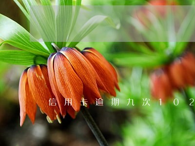 信用卡逾期九次102块钱 信用卡逾期九次102块钱