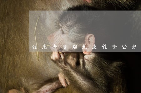 信用卡逾期九次能贷公积金贷款 信用卡逾期九次能贷公积金贷款