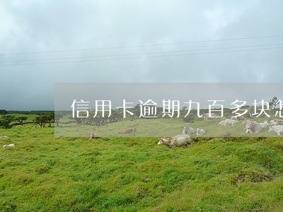 信用卡逾期九百多块怎么办 信用卡逾期九百多块怎么办
