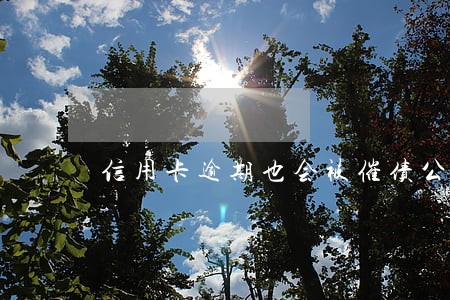 信用卡逾期也会被催债公司催吗 信用卡逾期也会被催债公司催吗