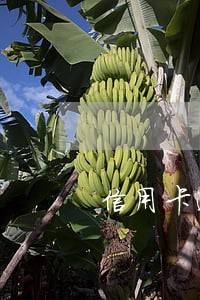 信用卡逾期也可以注册公司吗 信用卡逾期也可以注册公司吗