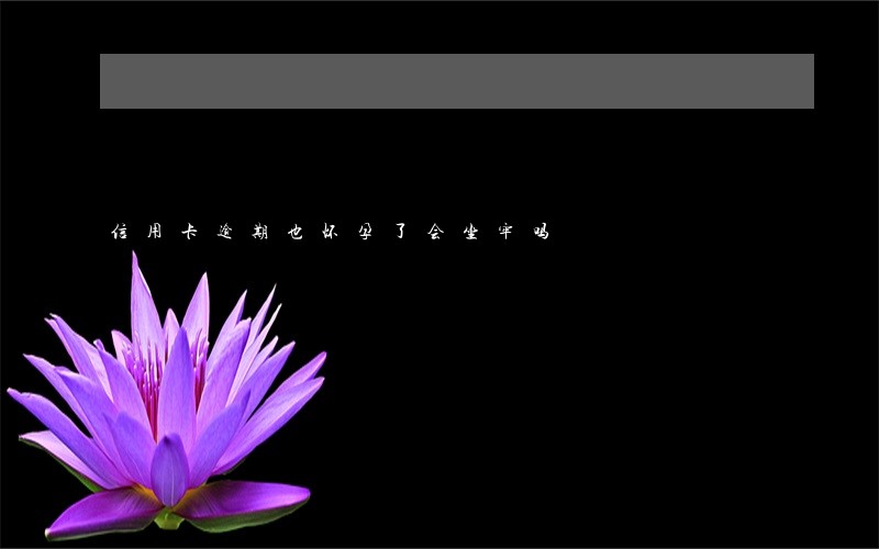 信用卡逾期也怀孕了会坐牢吗