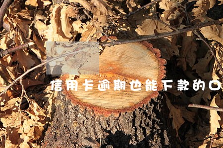 信用卡逾期也能下款的口子 信用卡逾期也能下款的口子