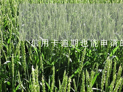 信用卡逾期也能申请的网贷 信用卡逾期也能申请的网贷