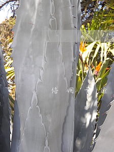 信用卡逾期也表示愿意还款 信用卡逾期也表示愿意还款