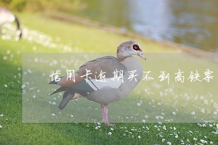 信用卡逾期买不到高铁票吗