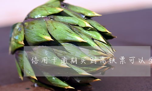 信用卡逾期买到高铁票可以坐
